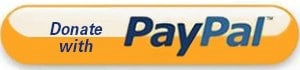 logo for paypal donate button