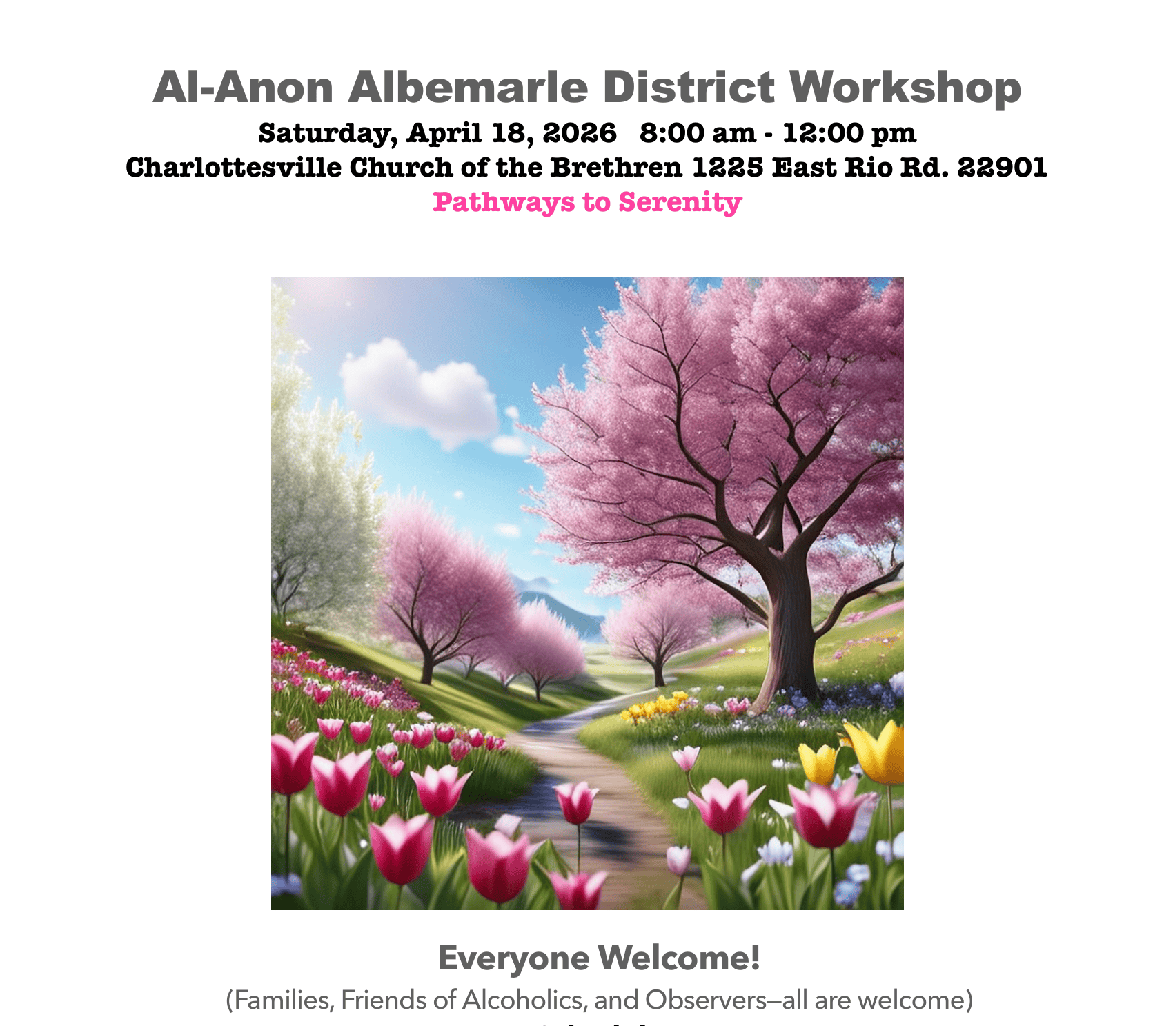 Albemarle District Workshop